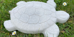 Category product images - Turtle