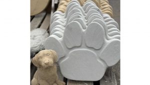 Home page offers - Pawprints