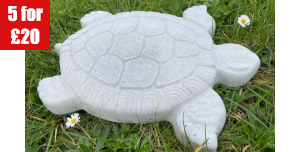 Category product images - Turtle 5 for £20